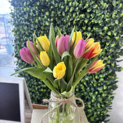 Tulip Garden