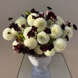 Dahlia Love