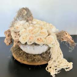 Driftwood Dreams