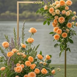 Peach roses arranged around a gold rectangular frame outdoors