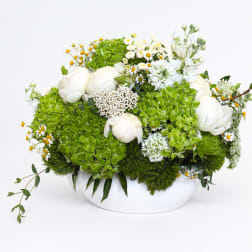 White flowers and green hydrangeas arranged in a white bowl