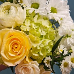 Bouquet of yellow roses, green hydrangea, and white daisies