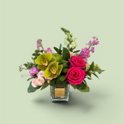 Vibrant garden LUXE