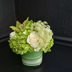 Verdant Grace