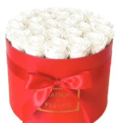 White roses arranged in a red round box with a ribbon bow