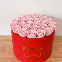 Pink roses arranged in a red round box