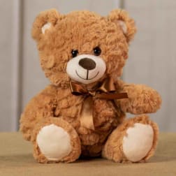 Brown plush teddy bear with a satin ribbon bow