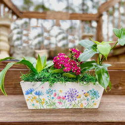 Pink flowers in a painted rectangular planter with green foliage