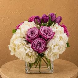 Purple roses and tulips arranged with white hydrangeas in a clear square vase