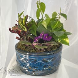 Potted mixed houseplant arrangement with purple flowers in a blue ceramic bowl