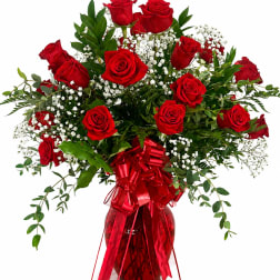 Classic Red Roses