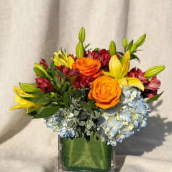Orange roses and yellow lilies in a square glass vase with blue hydrangeas