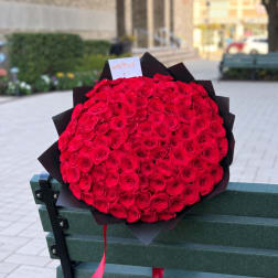 Large bouquet of red roses wrapped in black paper on a bench