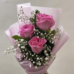 Pink Coquet