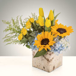 Yellow tulips, sunflowers, and blue hydrangeas in a birch-style cube vase