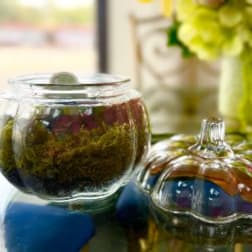 Glass pumpkin-shaped containers with floral arrangements inside
