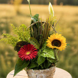 Basket arrangement with a red gerbera daisy and yellow sunflower