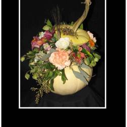 Before Midnight Arrangement