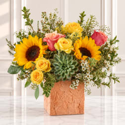 Sunflower and rose arrangement in a square peach vase with a succulent center