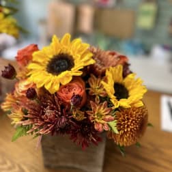 A little Fall Happy