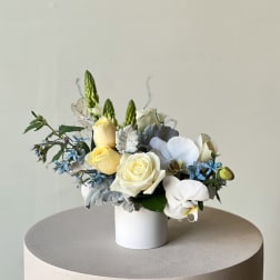 Cream roses and white orchids in a white vase with blue accents