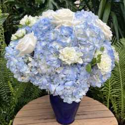 Blue hydrangea and white rose arrangement in a cobalt vase