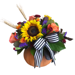 Sunflower and rose arrangement in a pumpkin container with a striped ribbon