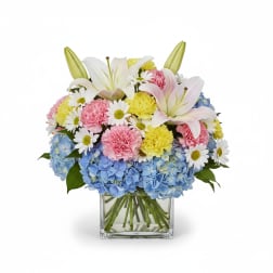 Birthday Bash Bloom