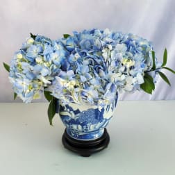 Low arrangement of light blue hydrangeas in a blue and white ceramic vase on a black stand