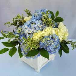 Blue and white hydrangea arrangement with variegated green accents in a white ceramic cube vase