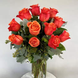 One dozen orange roses
