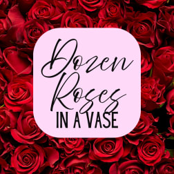 Dozen Roses