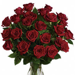 Two Dozen Long Stemmed Roses