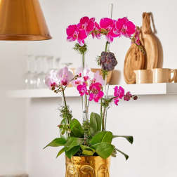 Pink orchids arranged in a gold face-shaped vase