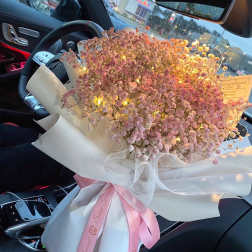[FRESH FLOWER] Pink Stardust Bouquet