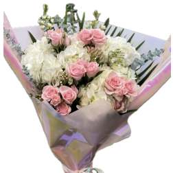 Pink roses and white hydrangeas wrapped in iridescent paper