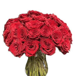 Red roses arranged in a clear glass vase