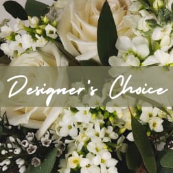 Designer's Choice- Sympathy