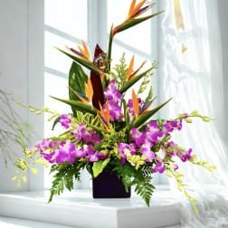 Tropical flower arrangement with purple orchids and bird of paradise in a dark vase