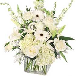 White floral arrangement in a clear glass vase