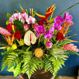 Large tropical arrangement with orchids, roses, anthurium, protea and birds of paradise in a dark pot