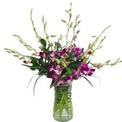 Purple orchids in a clear glass vase with tall branching stems