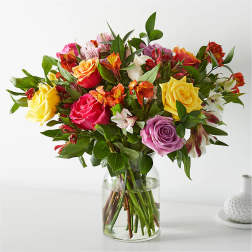 Mix Colorful Roses