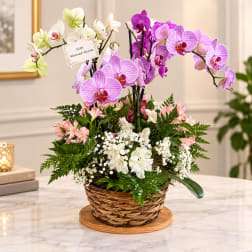 Basket arrangement of pink and white orchids with mixed flowers