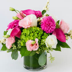 Blush & Fuchsia Harmony