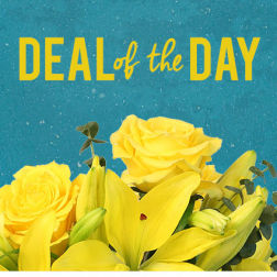 Yellow roses and lilies beneath a "Deal of the Day" sign