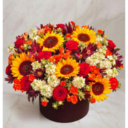 Bright mixed bouquet with sunflowers, roses, and white blooms in a dark round box