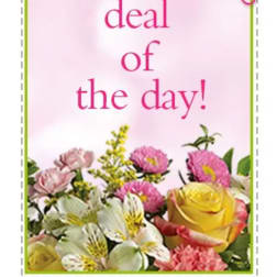 Pink greeting card with flowers and the words "deal of the day!"