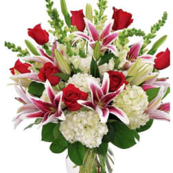 Crazy For You 1 dozen Roses + Hydrangea, Stock & Stargazer Lilies