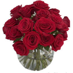 Pure Passion - 24 Red Roses